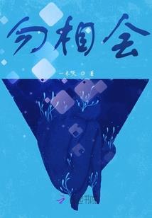 铁观音的原产发源地