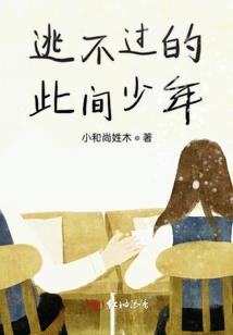 寺院石貂