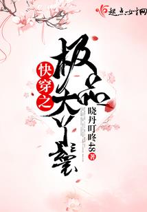 东坡居士服饰特点分析
