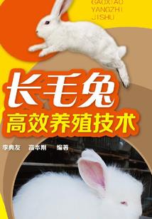 金刚经感应实例