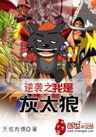 老外看菩提