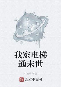 菩提手串用什么做的