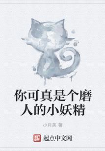 拍寺院的视频音乐