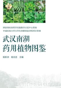 ro手游法师戒指