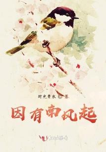 佛经中妙法解释大全