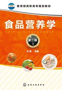 佛学法师人物形象