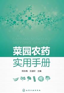 西部第一街观音桥看房团
