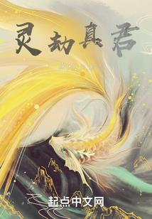 佛像直播怎么解说
