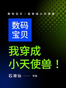 阿弥陀佛经弥陀径
