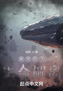 石观音家庭