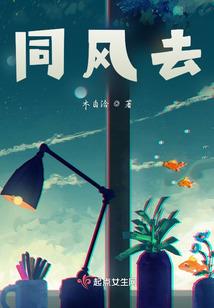 在家打坐视频大全