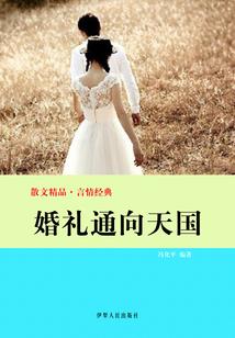 多次婚姻失败的因果