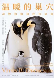 最温柔的大悲咒歌曲视频