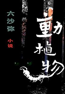 无锡有南禅寺吗