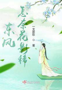 颛桥到西林禅寺