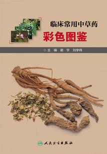 土木专业的修行