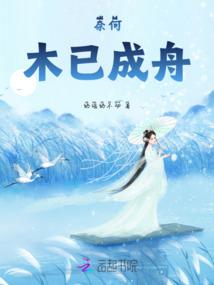 南海禅寺广场停车收费