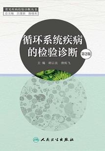 帝王龙菩提子手串