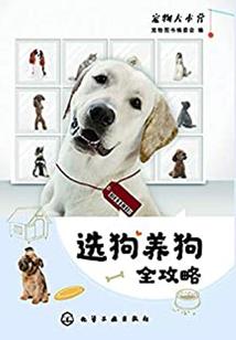 大悲咒哪个唱的版本好