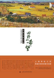 别人送的全身观世音菩萨