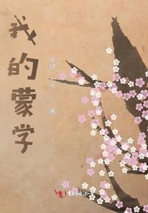 观音掉设置
