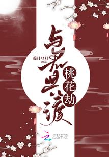 藏地人充电宝