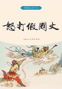 菩提路人视角