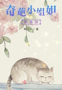 佛学道谛的讲解视频大全