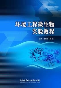 巴塘寺院棕熊