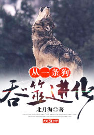 爱情犹如佛家禅悟