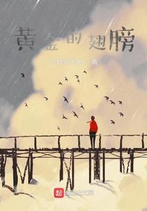 付居士体悟分享