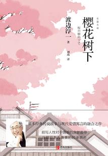 揭秘因果循环真相
