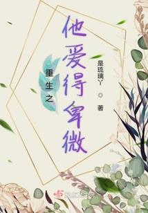 王善人因果