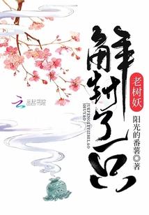 佛陀人物简介图画高清