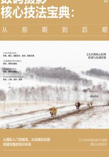 哪种人不能去念佛