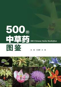 因果孩子不说话