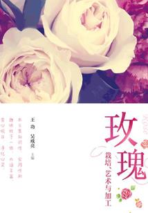 佛教预言肺炎