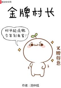 戏法师傅电视剧董洁