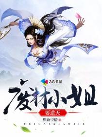 普林禅寺立柱视频