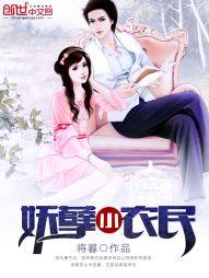 金刚菩提矮桩价格