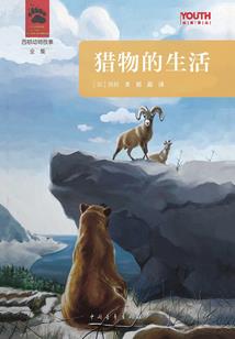 松江区环保佛像生产厂家